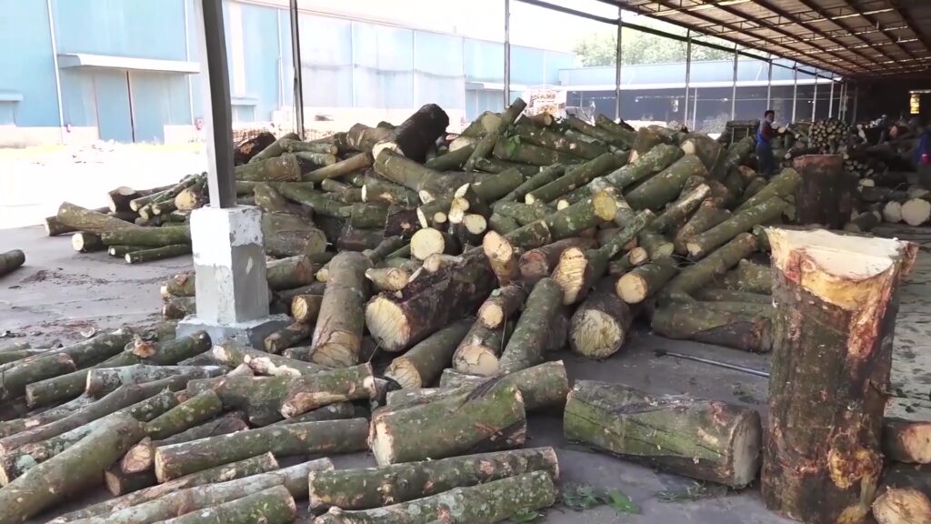 Ưu điểm của gỗ cao su