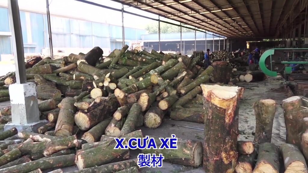 Top 11 loại gỗ tự nhiên phổ biến trong thiết kế nội thất